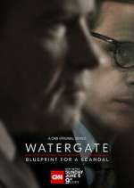 watergate: blueprint for a scandal tv poster