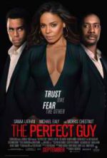 Watch The Perfect Guy Vodly