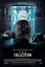 Watch The Collection Vodly
