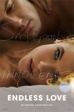 Watch Endless Love Vodly
