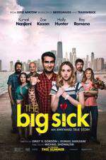 Watch The Big Sick Vodly