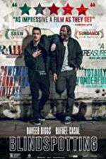 Watch Blindspotting Vodly