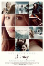 Watch If I Stay Vodly