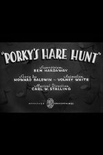 Watch Porky\'s Hare Hunt Vodly