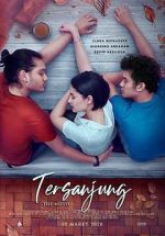 Watch Tersanjung: The Movie Vodly