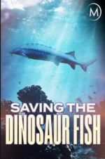 Watch Saving the Dinosaur Fish Vodly