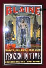 Watch David Blaine: Frozen in Time (TV Special 2000) Vodly