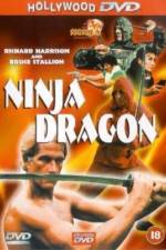 Watch Ninja Dragon Vodly