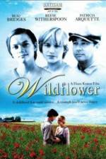 Watch Wildflower Vodly
