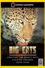 Watch National Geographic: Living With Big Cats Vodly