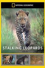 Watch National Geographic: Stalking Leopards Vodly