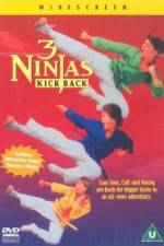 Watch 3 Ninjas Kick Back Vodly