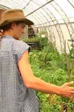 Watch Green House Seeds Strain Hunters India Expedition Vodly