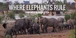 Watch Where Elephants Rule Vodly