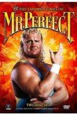 Watch The Life and Times of Mr Perfect Vodly