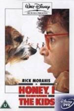 Watch Honey, I Shrunk the Kids Vodly