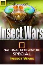 Watch National Geographic Insect Wars Vodly