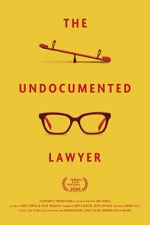 Watch The Undocumented Lawyer Vodly