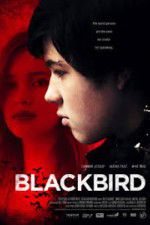 Watch Blackbird Vodly