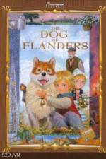 Watch The Dog of Flanders Vodly