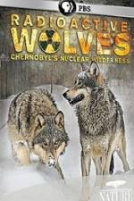 Watch Radioactive Wolves Vodly