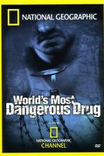 Watch Worlds Most Dangerous Drug Vodly