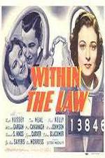 Watch Within the Law Vodly