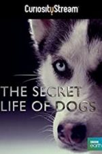 Watch Secret Life of Dogs Vodly