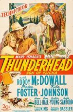 Watch Thunderhead: Son of Flicka Vodly