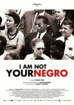 Watch I Am Not Your Negro Vodly