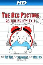 Watch The Big Picture Rethinking Dyslexia Vodly