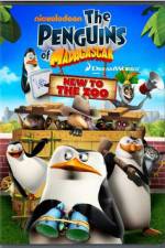 Watch Penguins of Madagascar New to the Zoo Vodly