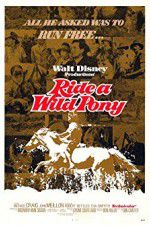 Watch Ride a Wild Pony Vodly