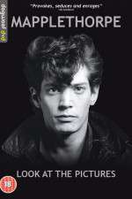 Watch Mapplethorpe: Look at the Pictures Vodly