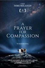 Watch A Prayer for Compassion Zmovie