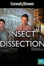 Watch Insect Dissection: How Insects Work Vodly