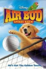 Watch Air Bud Spikes Back Vodly