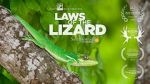 Watch Laws of the Lizard Vodly