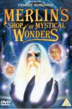 Watch Merlin's Shop of Mystical Wonders Vodly