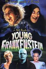 Watch Young Frankenstein Vodly