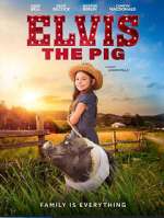 Watch Elvis the Pig Vodly