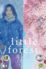 Watch Little Forest: Winter/Spring Vodly