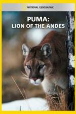 Watch National Geographic Puma: Lion of the Andes Vodly