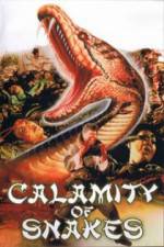 Watch Calamity of Snakes Vodly