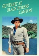 Watch Gunfight at Black Horse Canyon Vodly