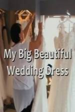 Watch My Big Beautiful Wedding Dress Vodly
