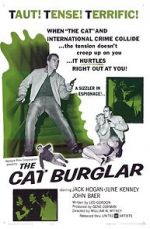 Watch The Cat Burglar Vodly