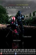 Watch Deadpool and the Black Panther Vodly