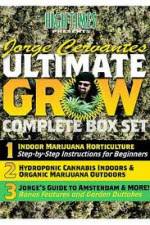 Watch Jorge Cervantes Ultimate Grow Complete Box Set Vodly