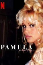 Watch Pamela, a Love Story Vodly